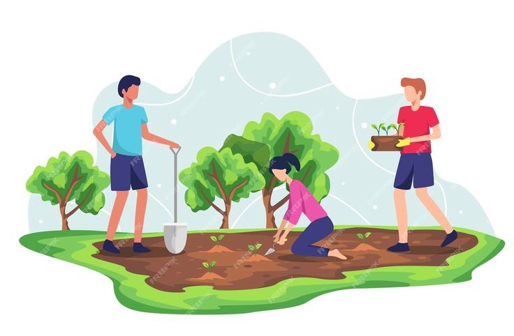 SR Greenscapes Professional Service